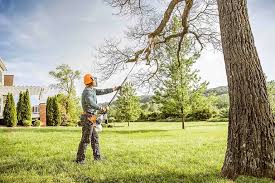 Best Lawn Mowing  in Valley Falls, RI