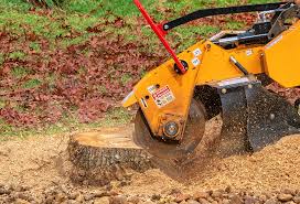 Best Aeration Services  in Valley Falls, RI